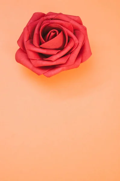 Tiro Vertical Uma Única Rosa Vermelha Fundo Pastel Laranja Com — Fotografia de Stock