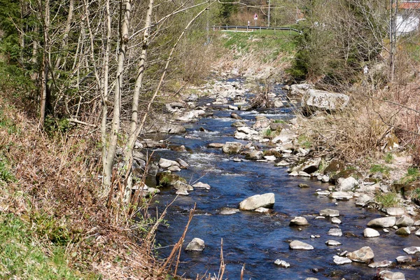 Ein Schmaler Fluss Mit Steinen Wald — Stockfoto