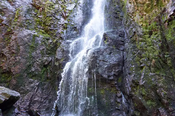 Vistas Hipnotizantes Cachoeira Primavera — Fotografia de Stock