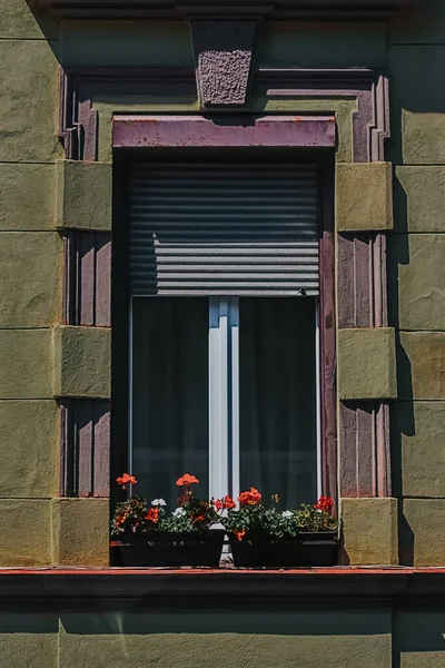 Вертикальный Снимок Цветочных Горшков Подоконнике Здания Солнцем — стоковое фото