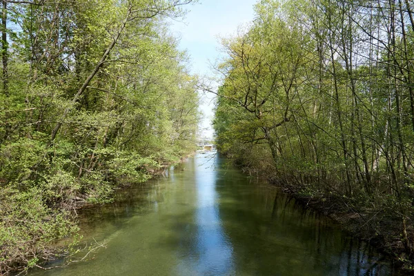 Ein Schmaler Fluss Frühling — Stockfoto