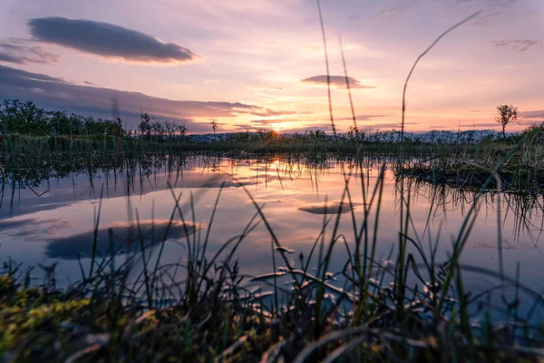 Krajina Jezera Obklopená Zelení Pod Slunečním Světlem Během Krásného Východu — Stock fotografie