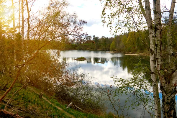 Ένα Κοντινό Πλάνο Ενός Πολύχρωμου Τοπίου Μια Λίμνη Και Δέντρα — Φωτογραφία Αρχείου