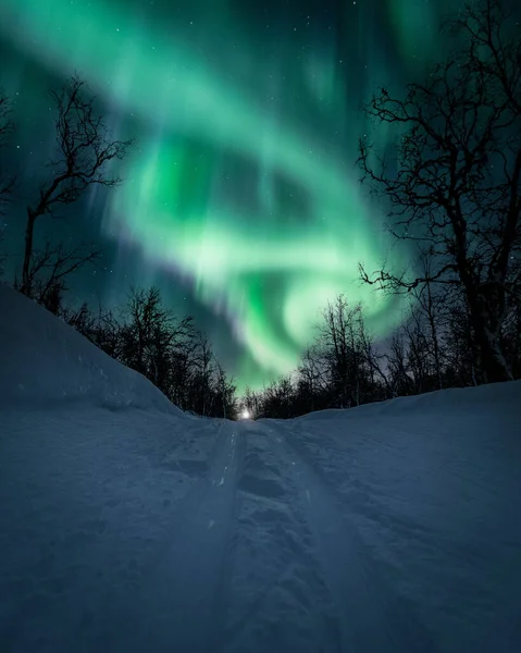 Disparo Vertical Aurora Boreal Sobre Bosque Cubierto Nieve Noruega —  Fotos de Stock