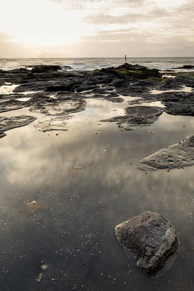 Природний Вид Акваторію Морської Води Скелястому Березі Під Час Низького — стокове фото