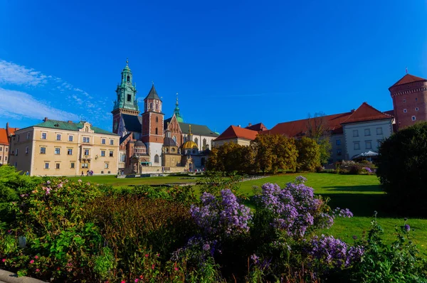 Eine Aufnahme Des Wawel Königlichen Schlosses Krakau Polen — Stockfoto