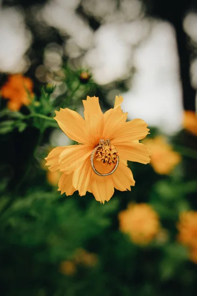 黄色の花に婚約指輪の垂直ショット — ストック写真