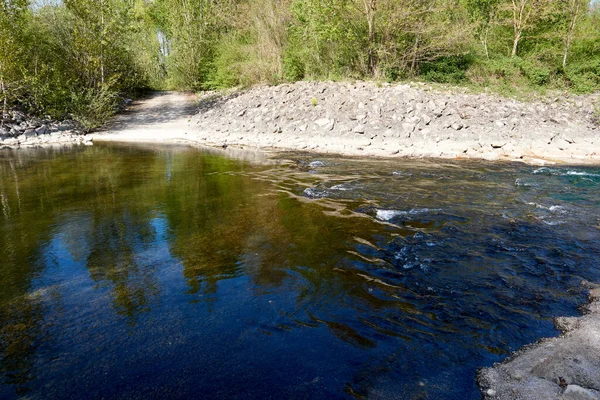 Egy Folyó Tiszta Vízzel Erdőben — Stock Fotó