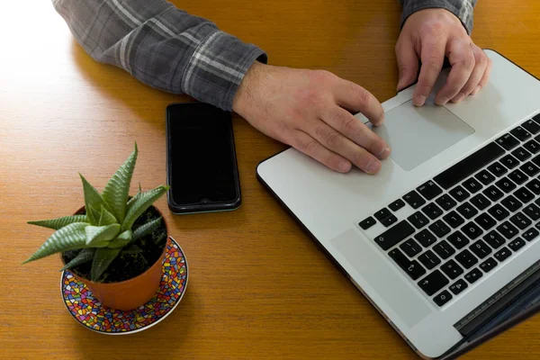 Ein Mann Büro Seinem Laptop Mit Einer Saftigen Pflanze Auf — Stockfoto