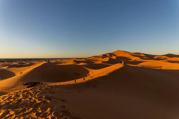 Снимок Пустыни Северные Алгодонес Дюны Acolita Сша — стоковое фото