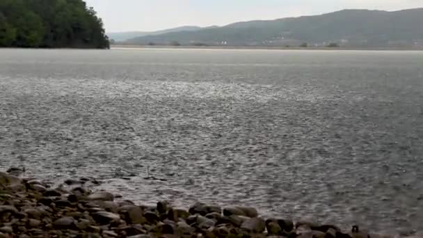背景に湖がある美しい風景 — ストック動画