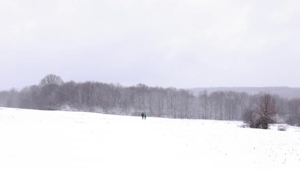 Hdで撮影された雪に覆われた森の中を歩く人々の風景 — ストック動画