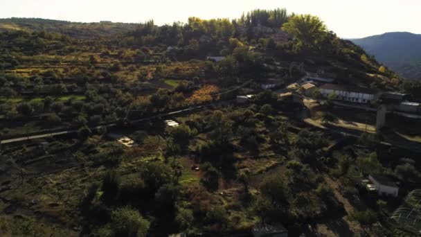 Luftaufnahme Eines Von Bäumen Umgebenen Gewächshauses Auf Einem Hügeligen Gelände — Stockvideo