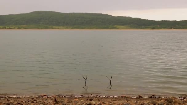 호수가 아름다운 — 비디오