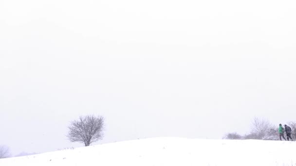 Tempo Nevado Floresta Inverno — Vídeo de Stock