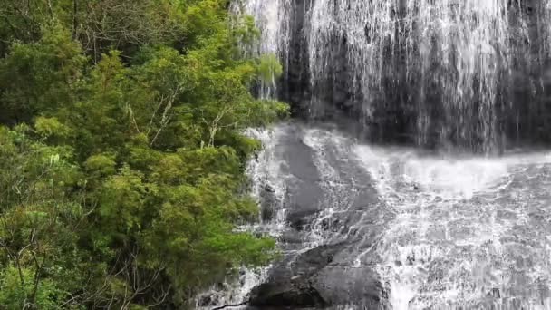 Big Waterfall Gushing Next Trees — Stock Video