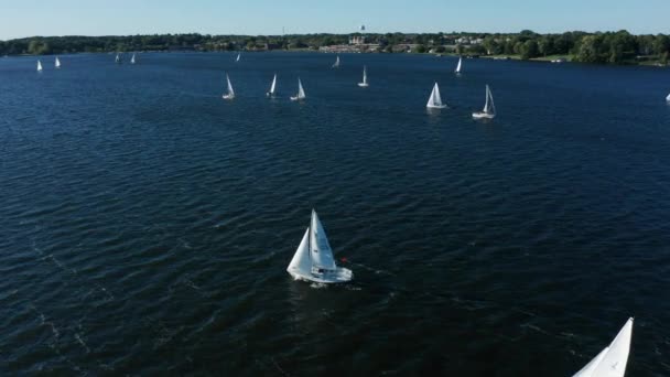 Een Antenne Schot Van Jachten Zeilen Zee Gevangen — Stockvideo