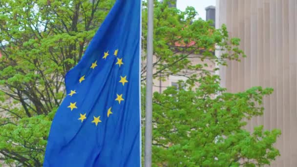 Closeup European Flag Waving Wind Europe Symbol Seen Front Green — Stockvideo