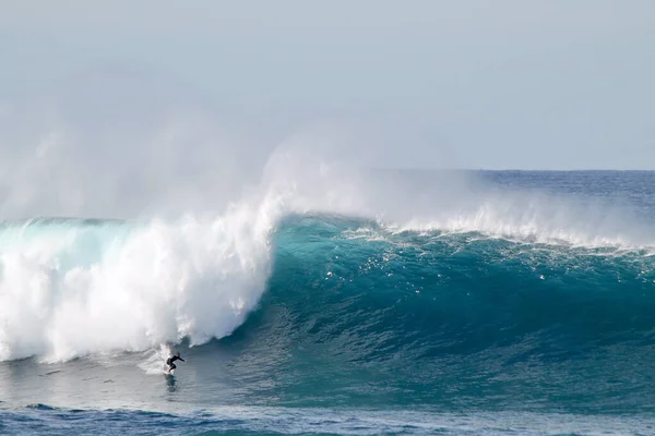 Sydne Australie Mai 2016 Surfeur Australien Descendant Une Vague Géante — Photo