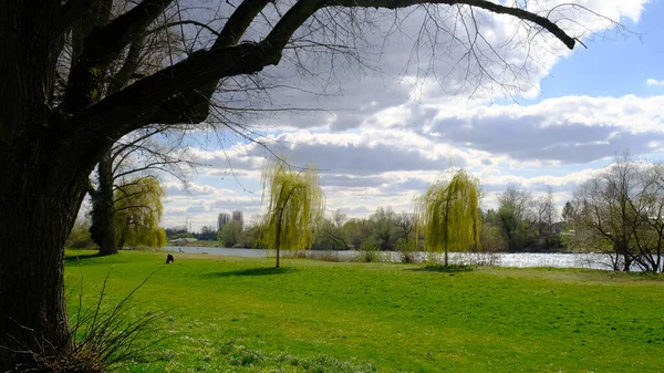 Uma Bela Paisagem Rio Main Area Hanau Alemanha — Fotografia de Stock