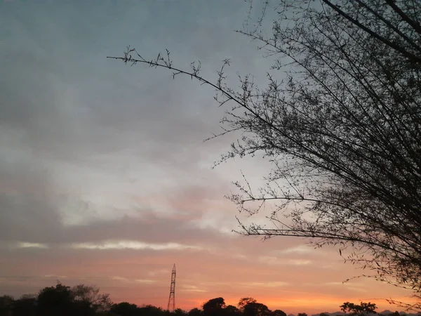 Закатное Небо Фоне Деревьев Бука Красивый Природный Ландшафт Живописный Оранжевый — стоковое фото