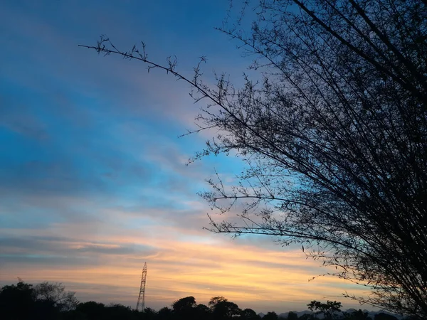 Céu Por Sol Com Árvores Bambu Fundo Natureza Bela Paisagem — Fotografia de Stock