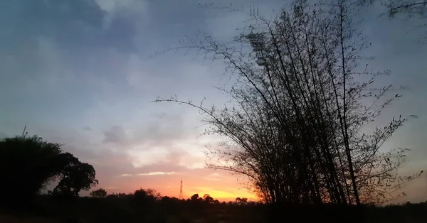 Закатное Небо Фоне Деревьев Бука Красивый Природный Ландшафт Живописный Оранжевый — стоковое фото