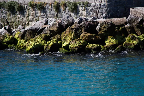海滩上覆盖着苔藓的大石头 — 图库照片