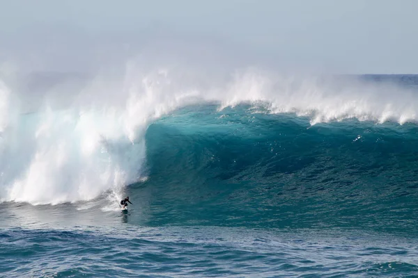 Sydne Australia Mayo 2016 Surfista Australiano Descendiendo Una Ola Gigante —  Fotos de Stock