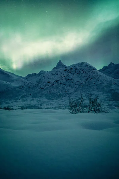 Egy Függőleges Felvétel Egy Gyönyörű Havas Táj Alatt Aurora Borealis — Stock Fotó