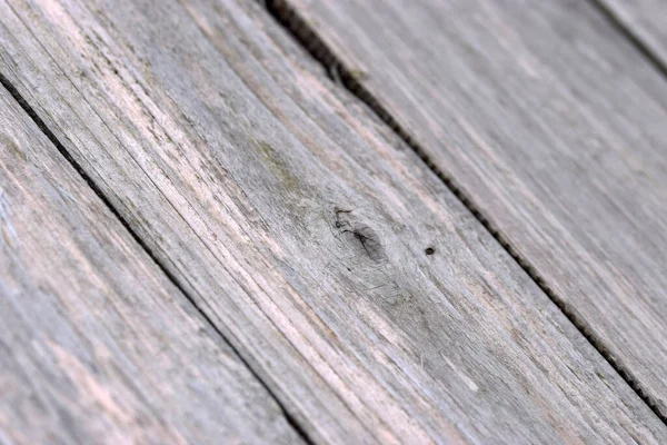 Closeup Shot Wooden Fence Panel Texture — Stock Photo, Image