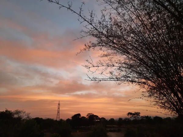 落日的天空 背景是竹子树 美丽的自然景观 壮观的橙色热带风景 金色的落日 — 图库照片