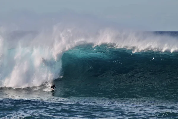 Sydne Australie Mai 2016 Surfeur Australien Descendant Une Vague Géante — Photo