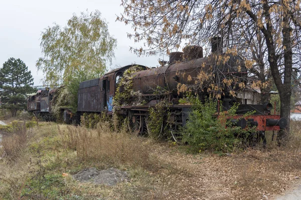 Bitkilerle Kaplı Eski Paslı Bir Buhar Lokomotifi — Stok fotoğraf