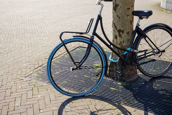 自行车停在鹿特丹市中心的一棵树旁 — 图库照片