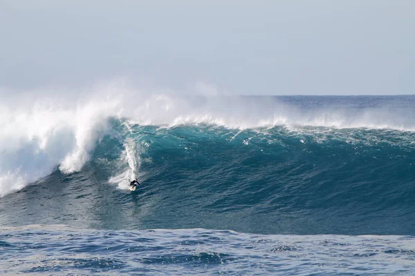 Sydne Australia Mayo 2016 Surfista Australiano Descendiendo Una Ola Gigante —  Fotos de Stock