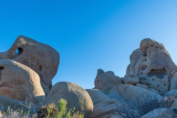 Närbild Klippformationer Vid Joshua Tree National Park — Stockfoto