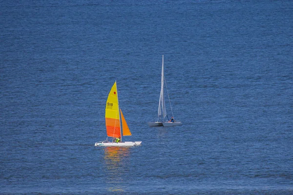 Egmond Aan Netherlands Jun 2019 Egmond Aan Zee Netherlands July — Stock Photo, Image