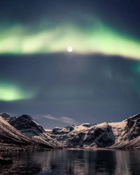 Een Verticaal Shot Van Een Nacht Winterlandschap Met Maan Noorderlicht — Stockfoto
