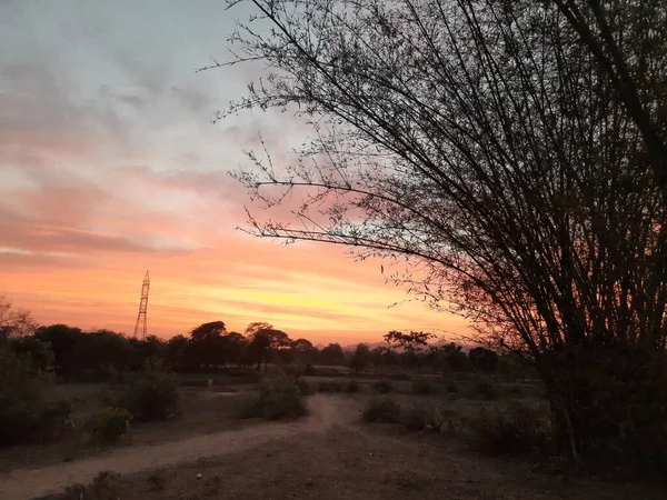 Ciel Couchant Avec Des Bambous Dans Fond Nature Beau Paysage — Photo