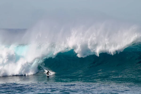 Sydne Australia Mayo 2016 Surfista Australiano Descendiendo Una Ola Gigante —  Fotos de Stock