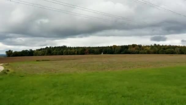 Drönare Shot Video Ett Tomt Fält Med Träd Runt Den — Stockvideo