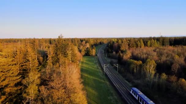 Train Traverse Forêt Bavaroise Coucher Soleil Vue Aérienne Couper Souffle — Video