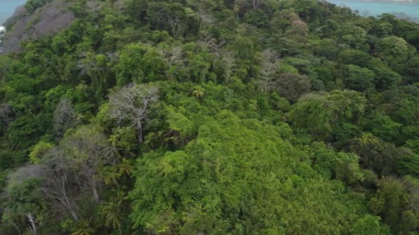Drone Pohled Pláž Isla Grande Pokryté Zelení Obklopený Mořem Panamě — Stock video