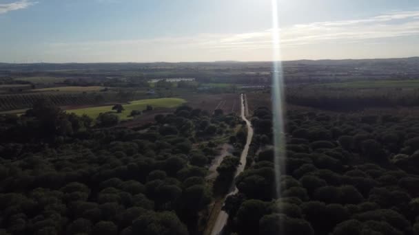 Flygfoto Över Väg Skogen — Stockvideo