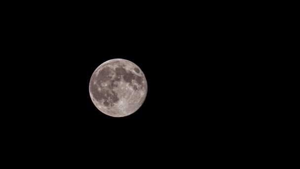 Horizontal View Moon Rising Night Sky Momentarily Covered Dark Clouds — Stock video