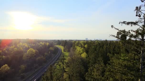 Vista Aérea Las Vías Del Tren Atraviesan Bosque Línea Ferroviaria — Vídeos de Stock