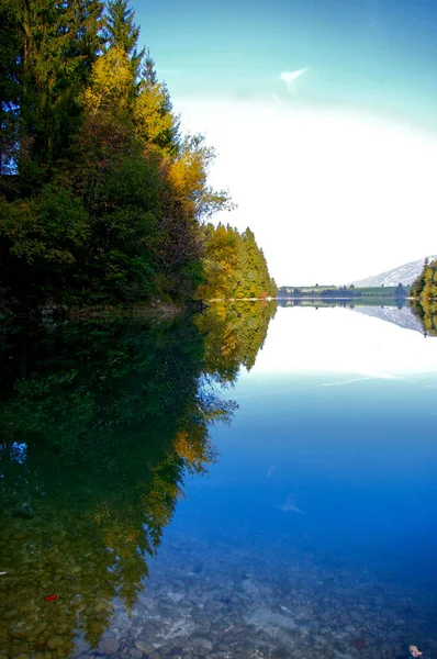 Colpo Verticale Del Lago Forggensee Allgau Germania Con Riflessi Alberi — Foto Stock