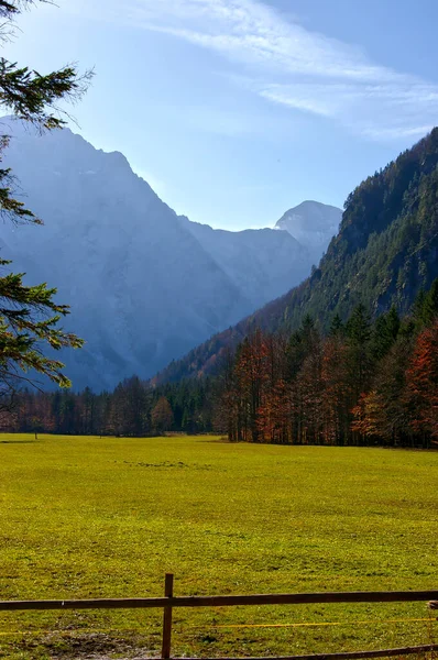 Een Prachtig Veld Omringd Door Bomen Met Een Houten Hek — Stockfoto