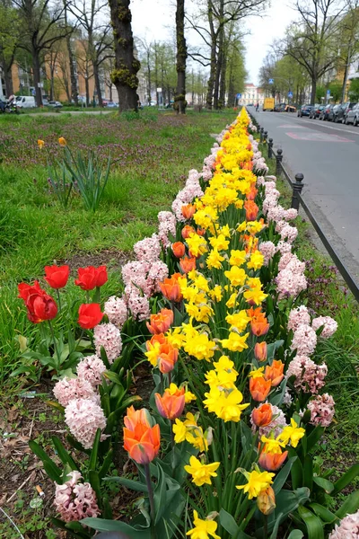 Total View Colerful Spring Flowers City Park Berlin Germany — Stock Photo, Image